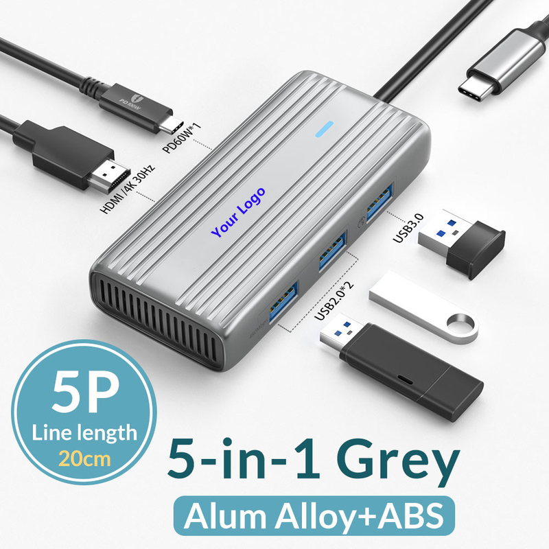 USB 3.1 10 In 1 Type-C Multiport Docking Station Hub met Gigabit Ethernet en 4K HD HDMI